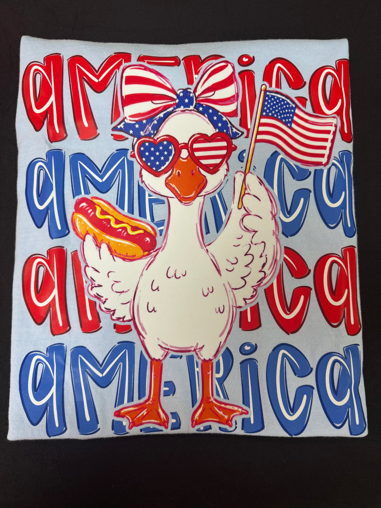 America Duck